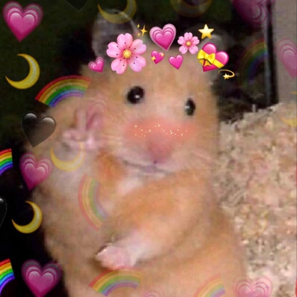 Meet your Posher! - Picture 3 of 5